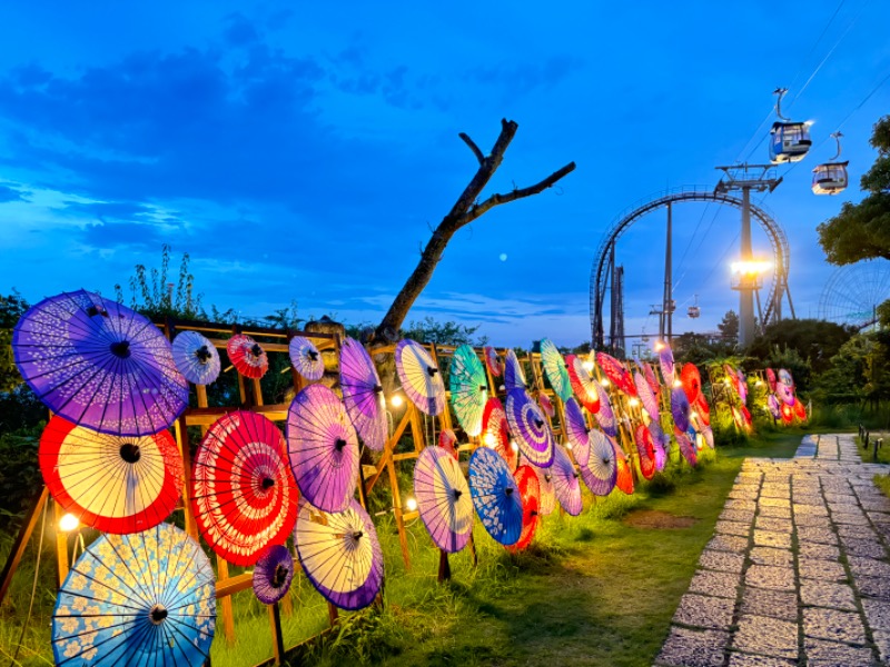 じゅんさんのよみうりランド眺望温泉 花景の湯のサ活写真