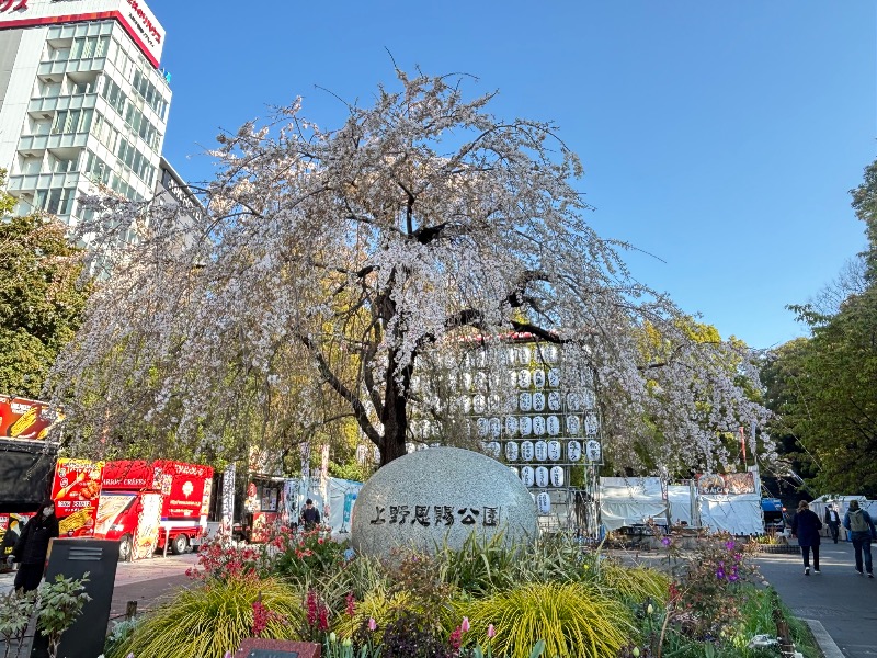 じゅんさんのサウナ&カプセルホテル 北欧のサ活写真