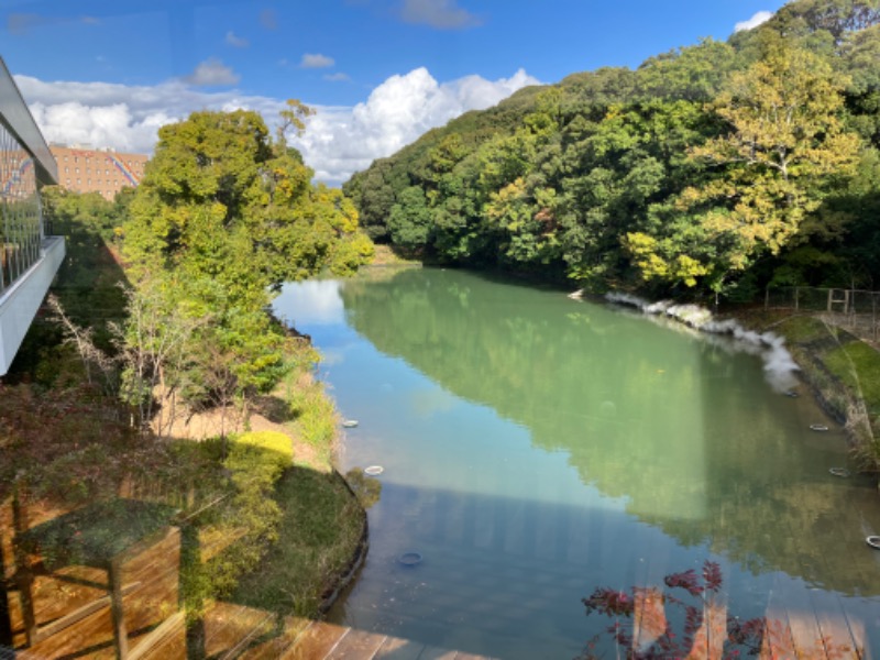 ミントちんさんの宗像王丸・天然温泉 やまつばさのサ活写真