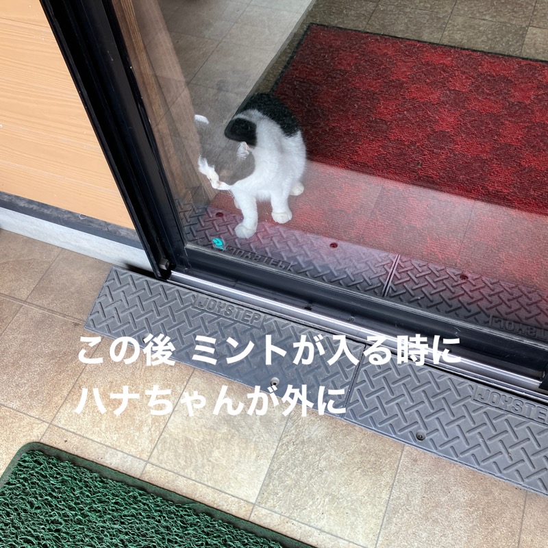 ミントちんさんのヌルヌル有田温泉のサ活写真