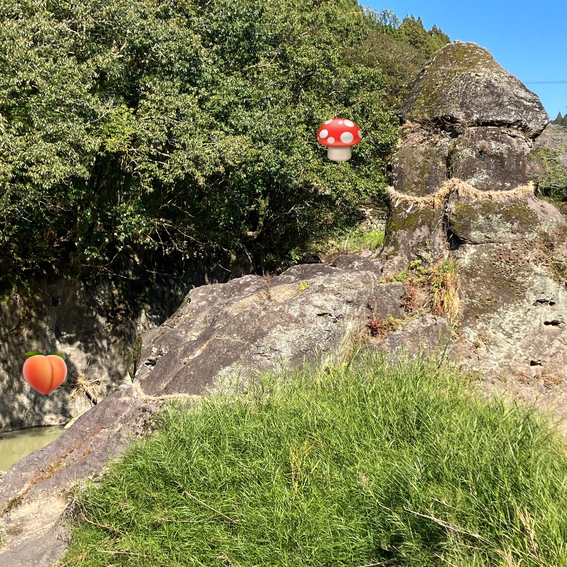 ミントちんさんのすきむらんど温泉 かじかの湯のサ活写真