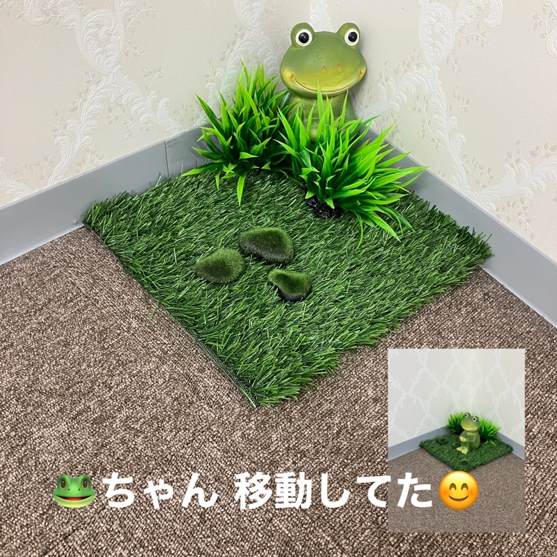 ミントちんさんの筑紫の湯のサ活写真