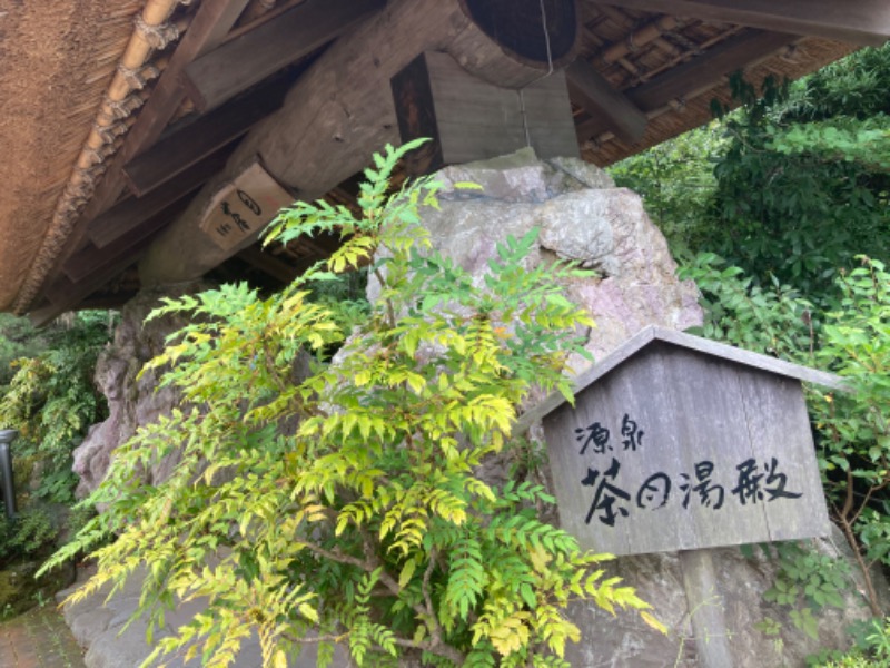 masudaさんの御殿場高原 天然温泉 茶目湯殿のサ活写真