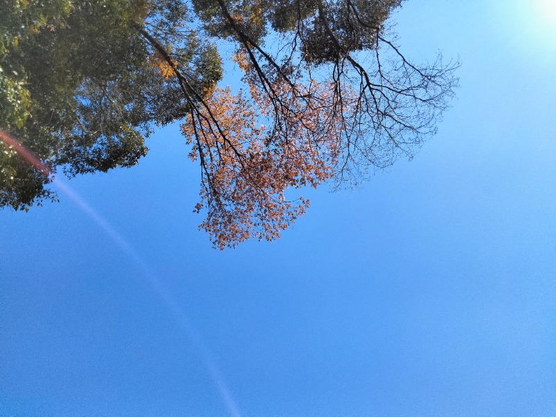 ナンジョーさんの個室サウナ此処野 静岡のサ活写真