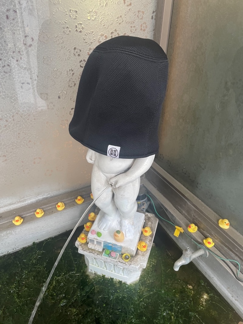 あらさうなーさんの小松湯のサ活写真