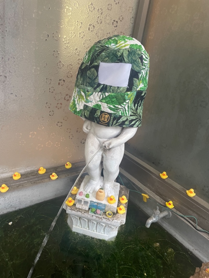 あらさうなーさんの小松湯のサ活写真