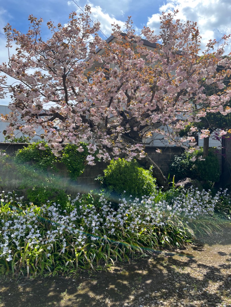 しゅんしゅんさんの野天風呂 湯の郷のサ活写真