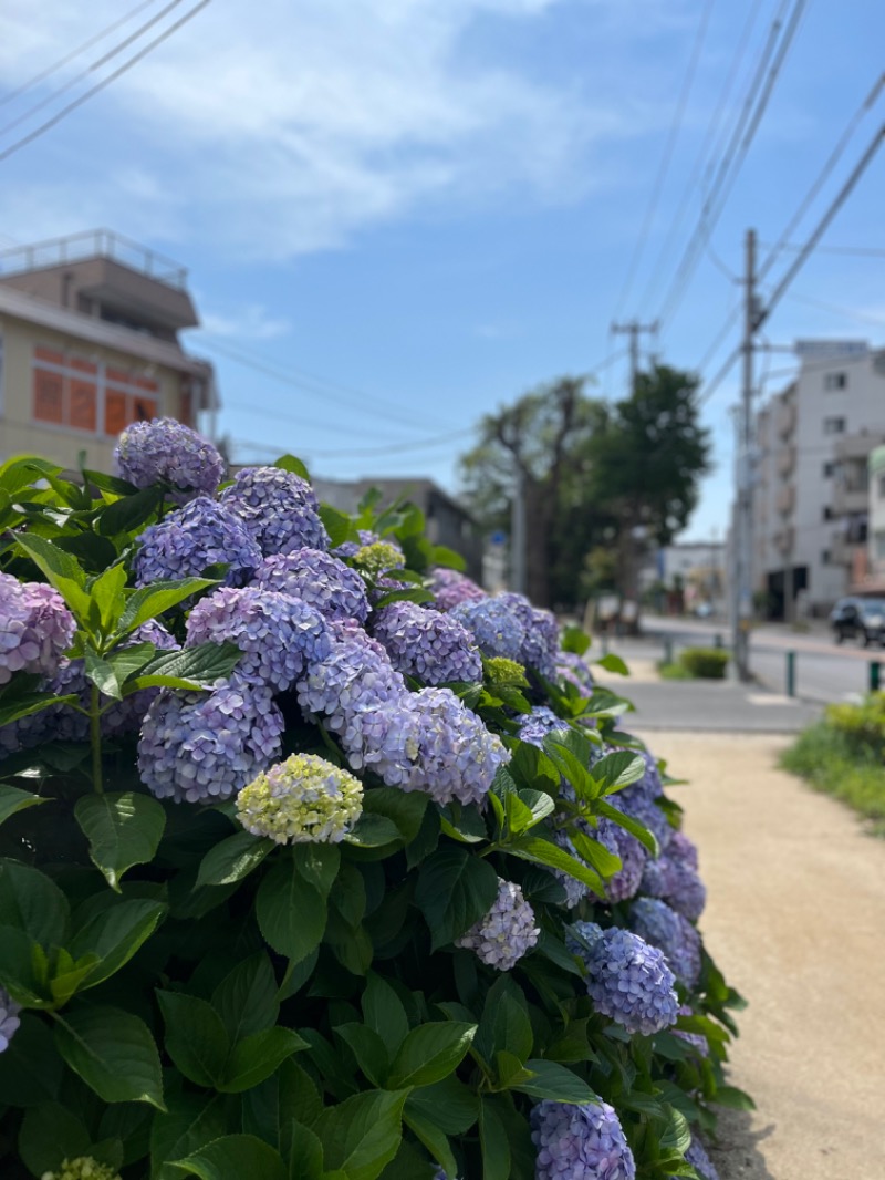 しゅんしゅんさんのSpa Resort 菜々の湯のサ活写真