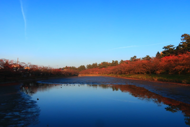 Mazo Itohさんの岩木桜の湯 ドーミーイン弘前のサ活写真