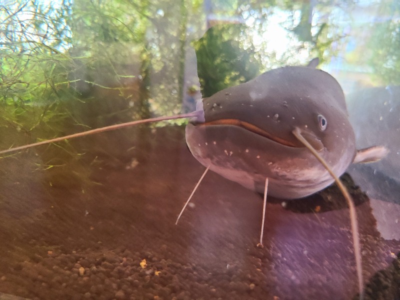 ダンシャウナーさんのあさひ温泉のサ活写真