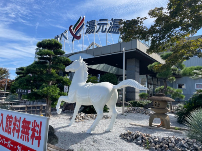 春日部のわだりんさんのかすかべ湯元温泉のサ活写真