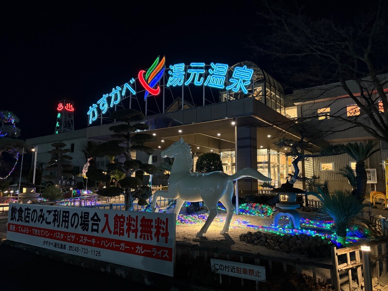 春日部のわだりんさんのかすかべ湯元温泉のサ活写真