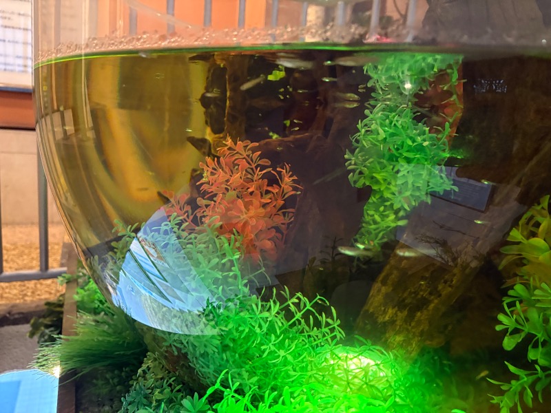 春日部のわだりんさんのウェルビー福岡のサ活写真