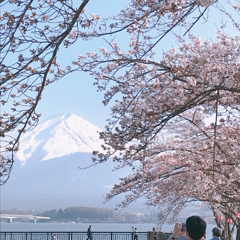 じゅんさんの登り坂ホテル 本館(新館)のサ活写真