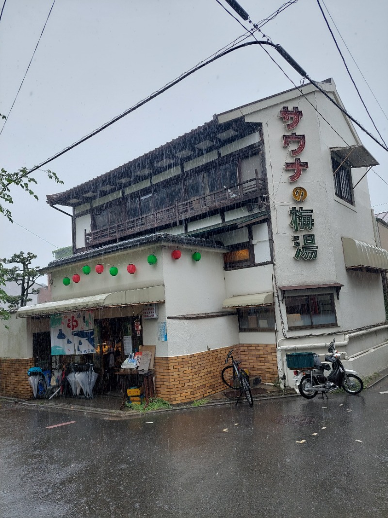 蒸田。さんのサウナの梅湯のサ活写真