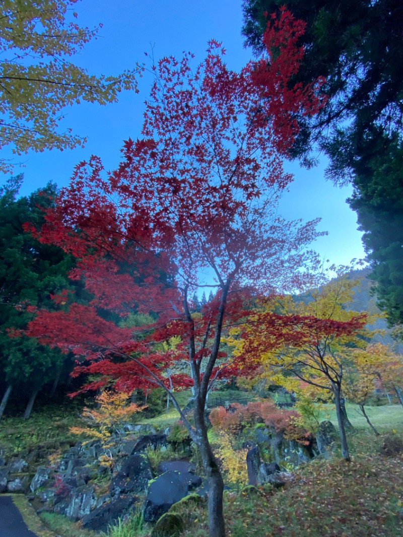 純さんの宇津江四十八滝温泉しぶきの湯 遊湯館のサ活写真