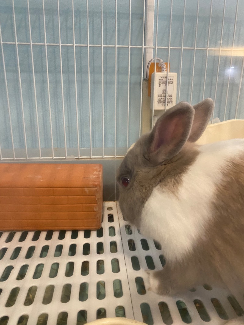 純さんのアクアリゾート 岐阜ふじの湯のサ活写真