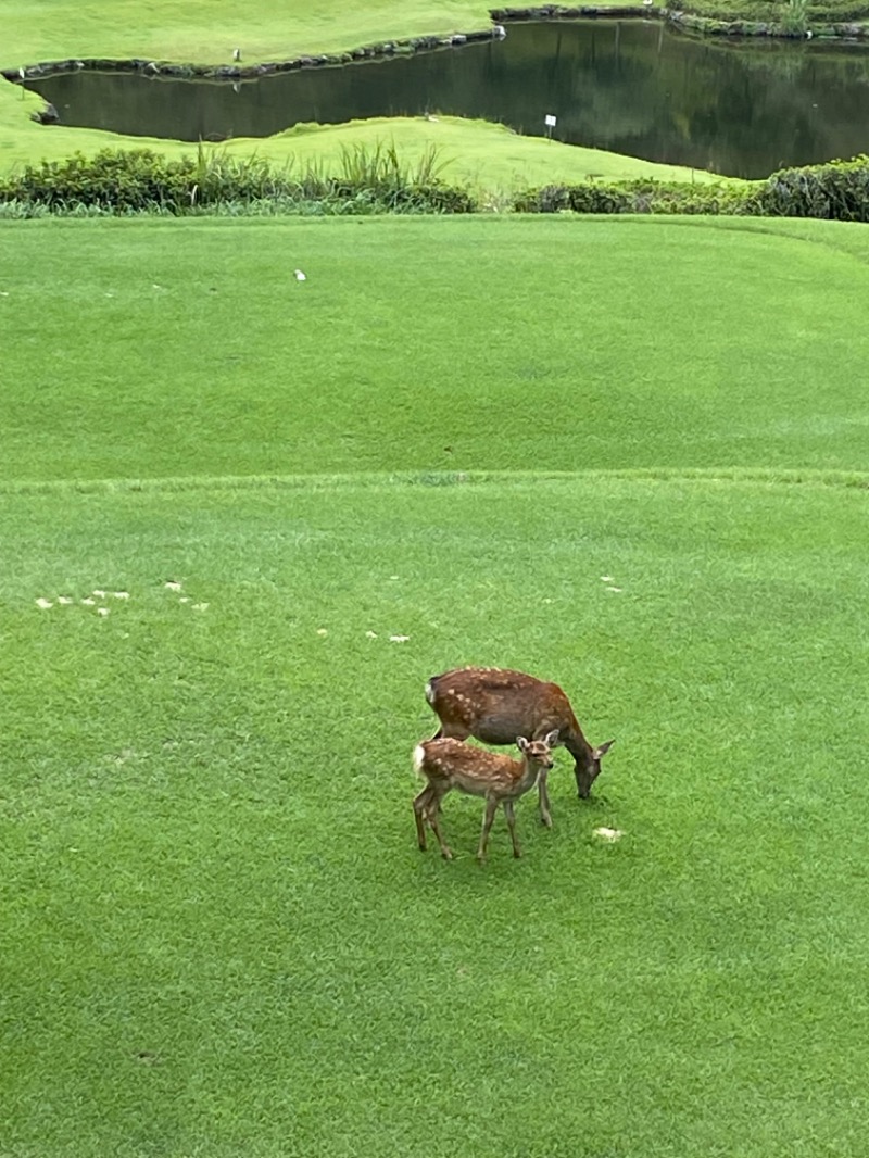 純さんの天光の湯のサ活写真