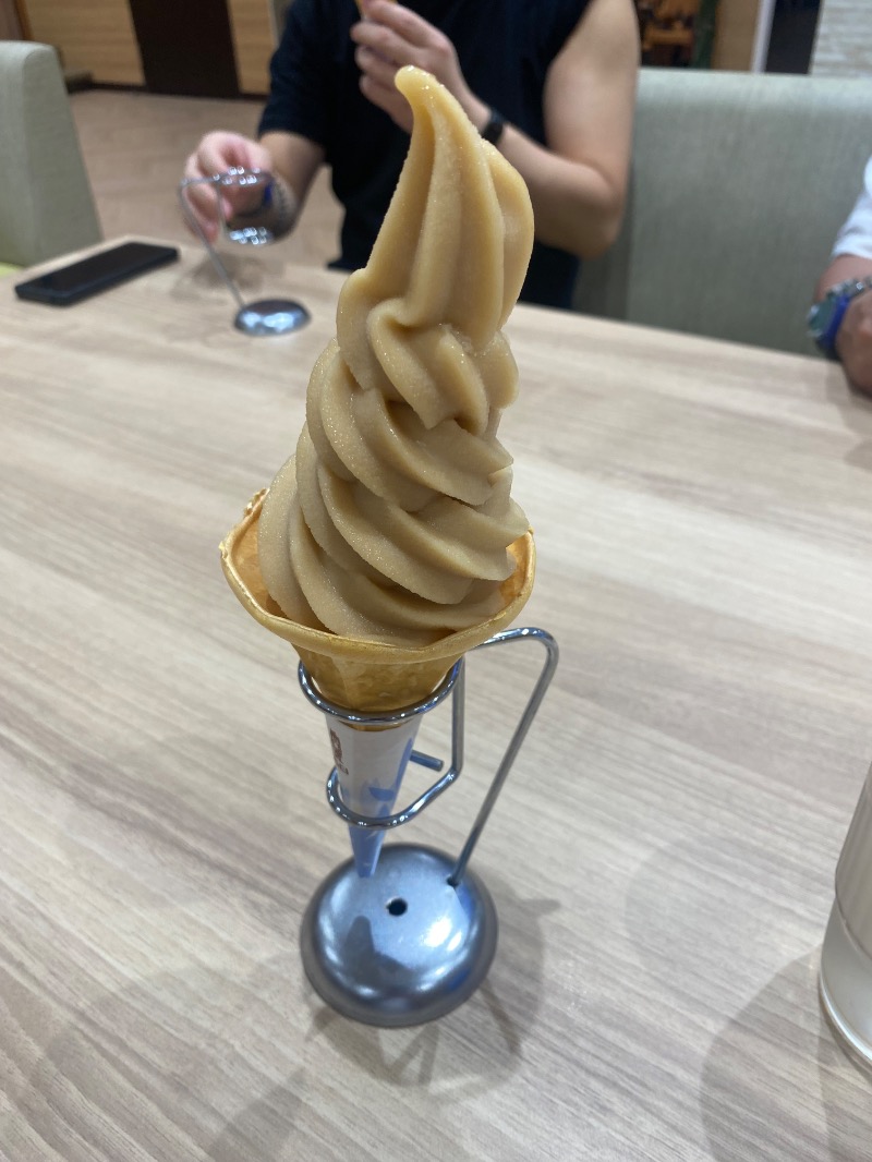 純さんのコロナの湯 豊川店 (ホテルキャッスルイン豊川)のサ活写真