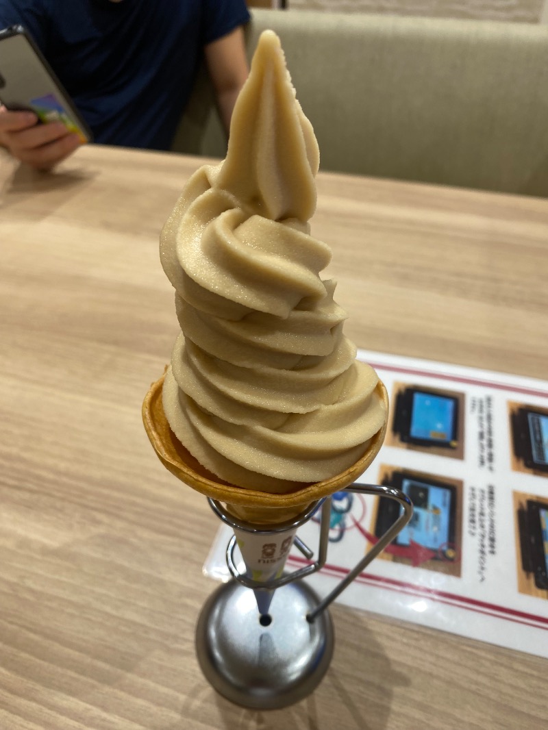 純さんのコロナの湯 豊川店 (ホテルキャッスルイン豊川)のサ活写真