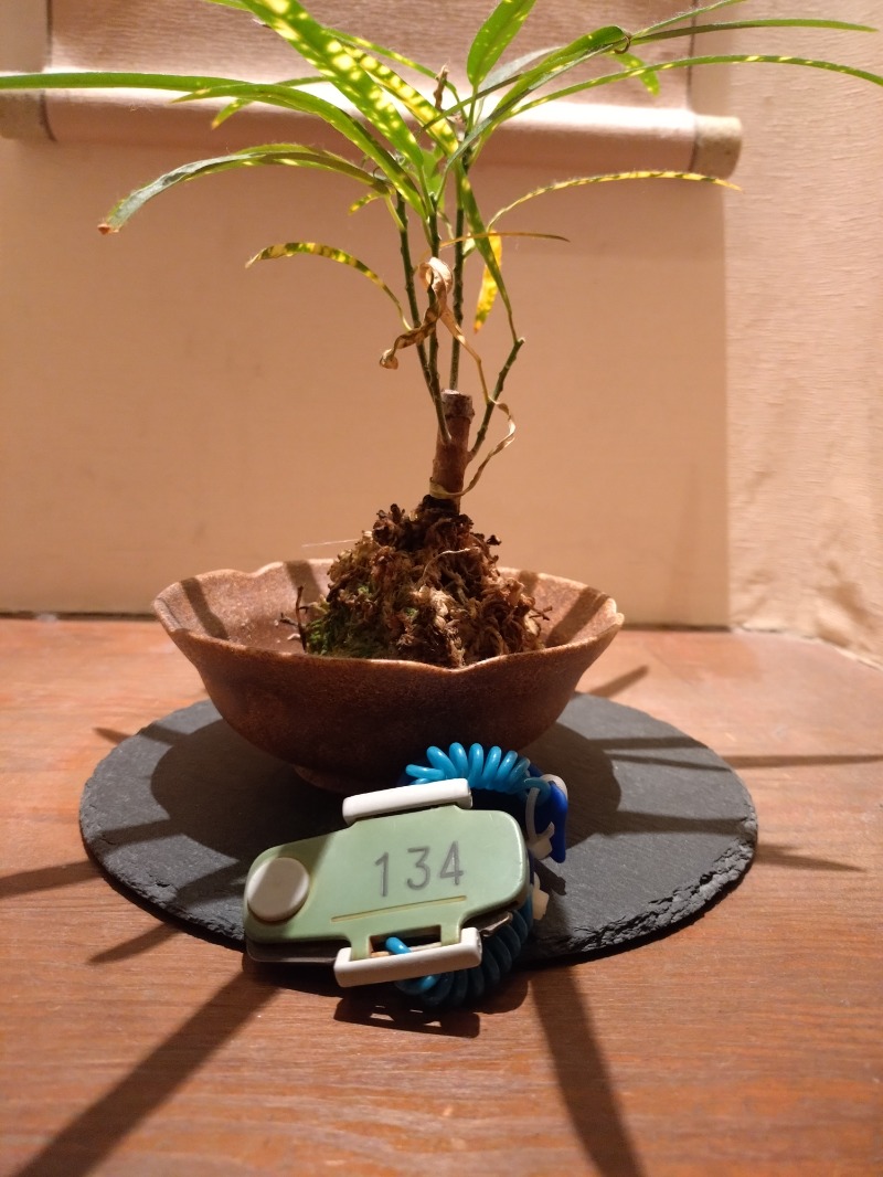 剣一さんの宝乃湯のサ活写真