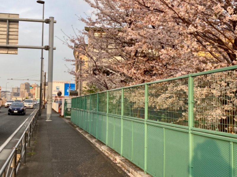 さうなりおんさんのファンタジーサウナ&スパおふろの国のサ活写真