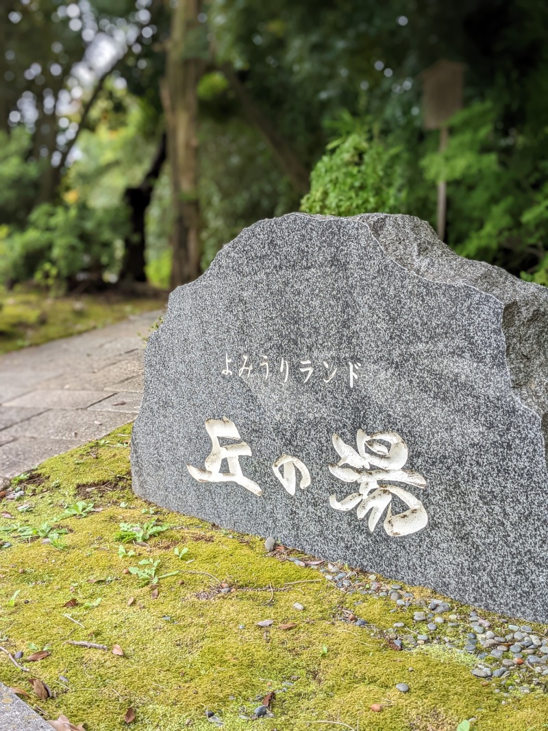 サウナかけるさんのよみうりランド 丘の湯のサ活写真