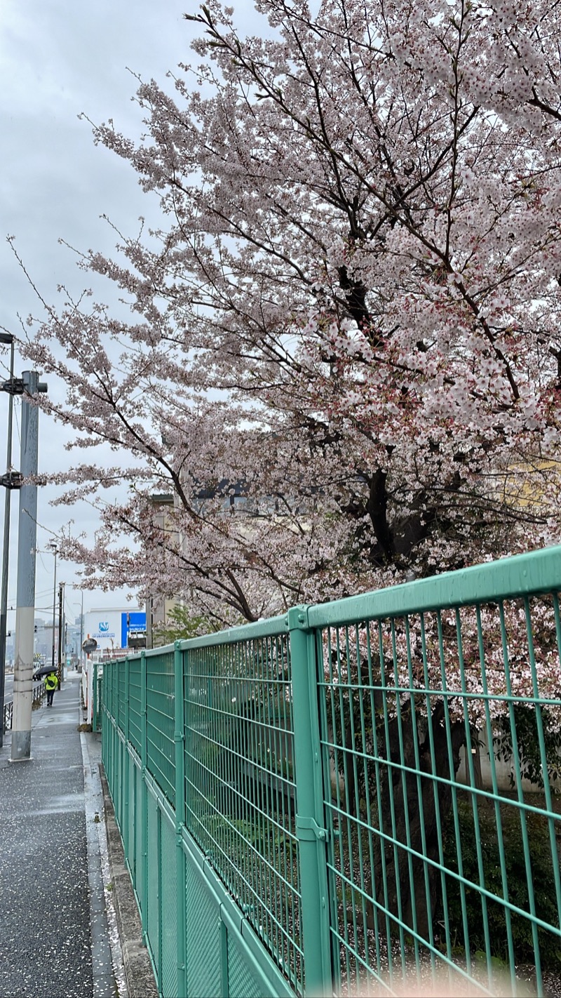 たかはしさんのファンタジーサウナ&スパおふろの国のサ活写真