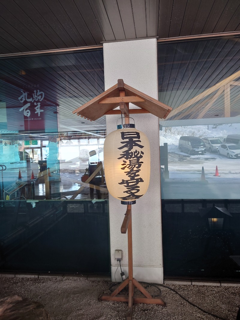 ♨️サ吉さんの湖畔の宿支笏湖 丸駒温泉旅館のサ活写真