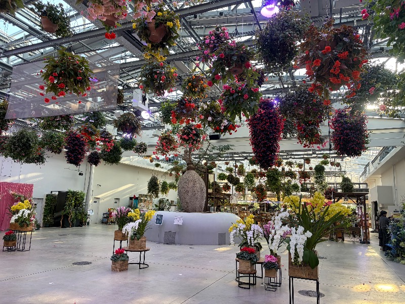 MNMさんのよみうりランド眺望温泉 花景の湯のサ活写真