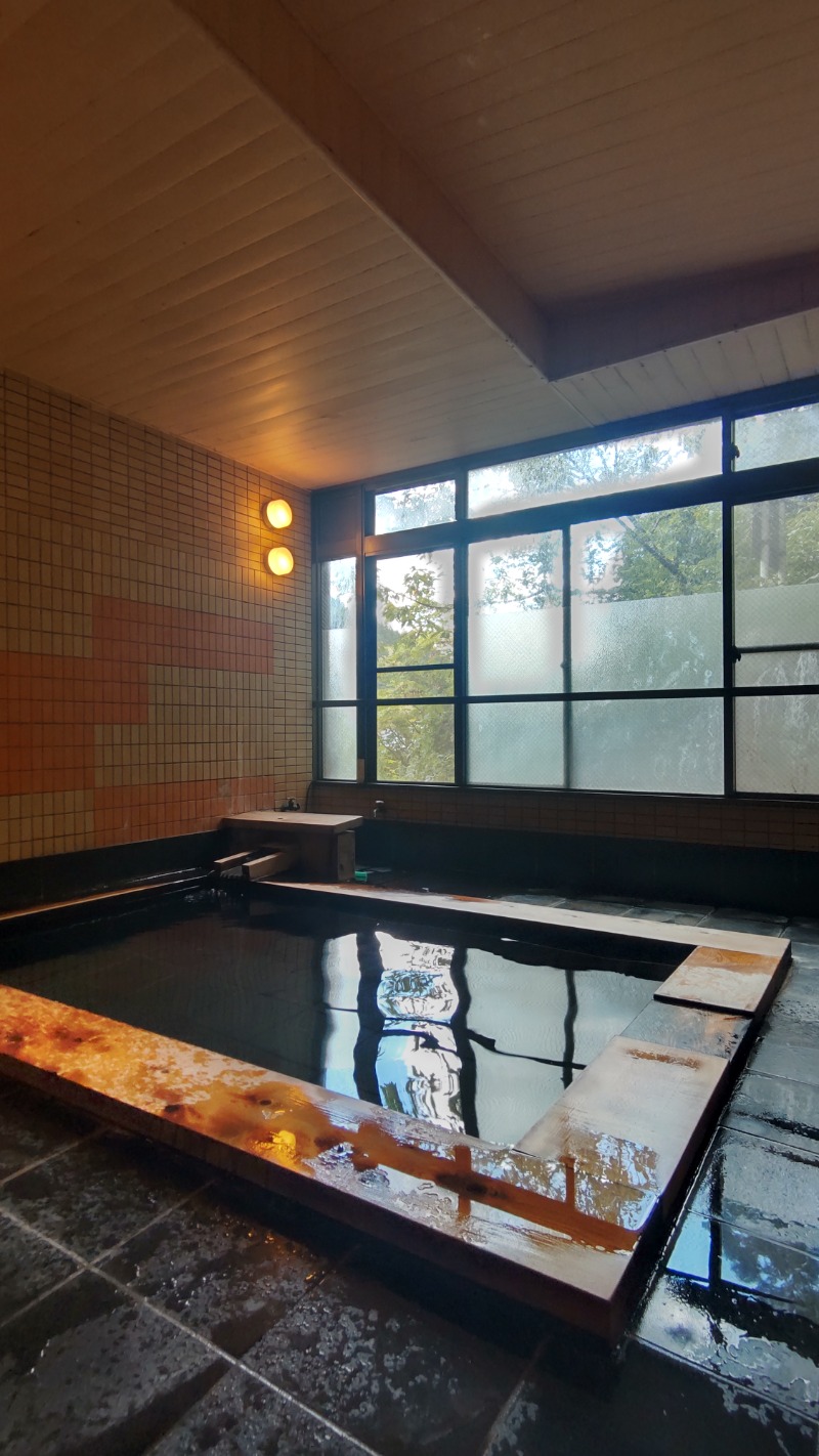 サあいこーかさんの梅の屋リゾート 松川館のサ活写真
