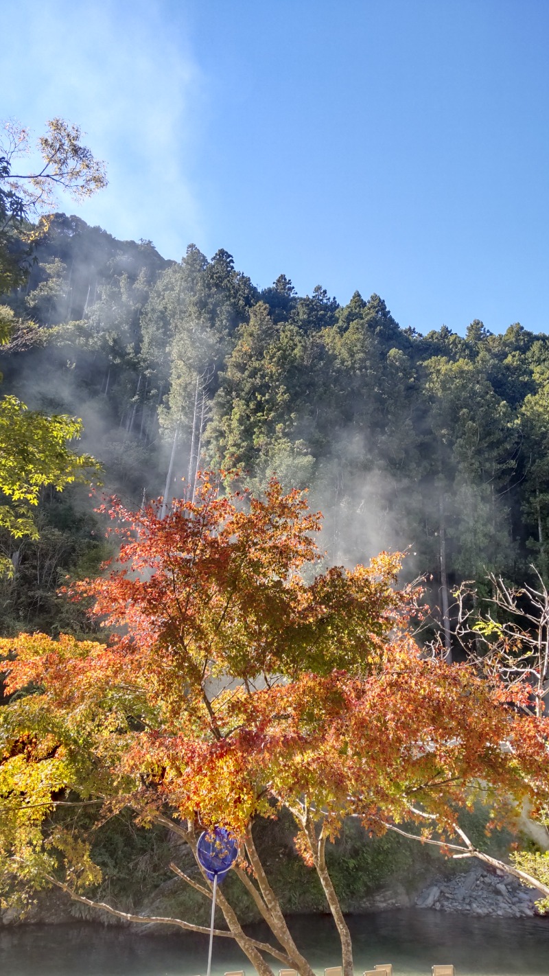 サあいこーかさんのサウナ天竜のサ活写真