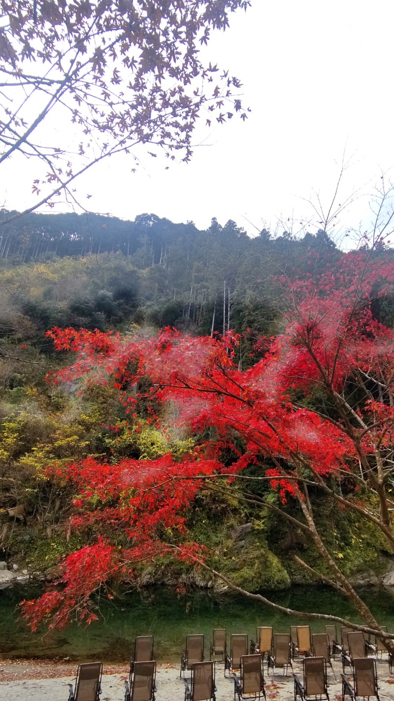 サあいこーかさんのサウナ天竜のサ活写真