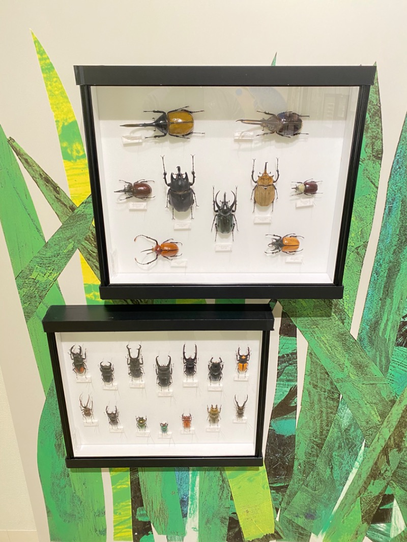 サウ研(サウナハット研修生)さんの天然温泉 満天の湯のサ活写真