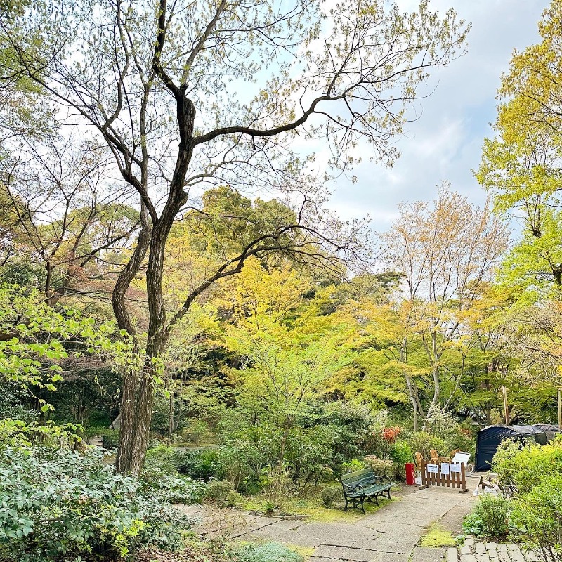 えすりさんの豊島園 庭の湯のサ活写真