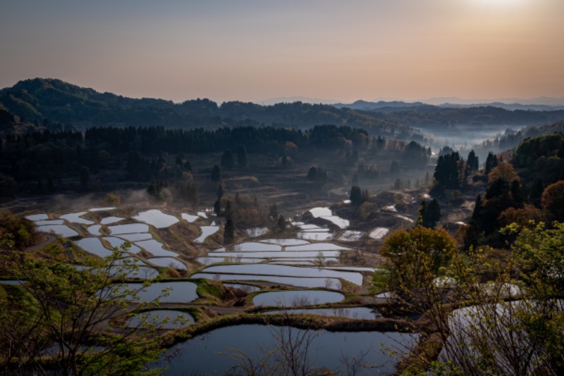 tottiさんのナステビュウ湯の山のサ活写真