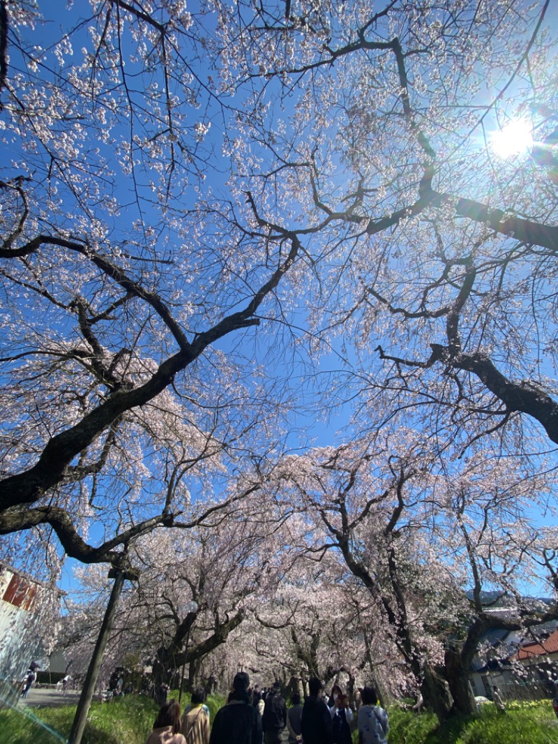 Chenさんの道の駅 願成就温泉のサ活写真