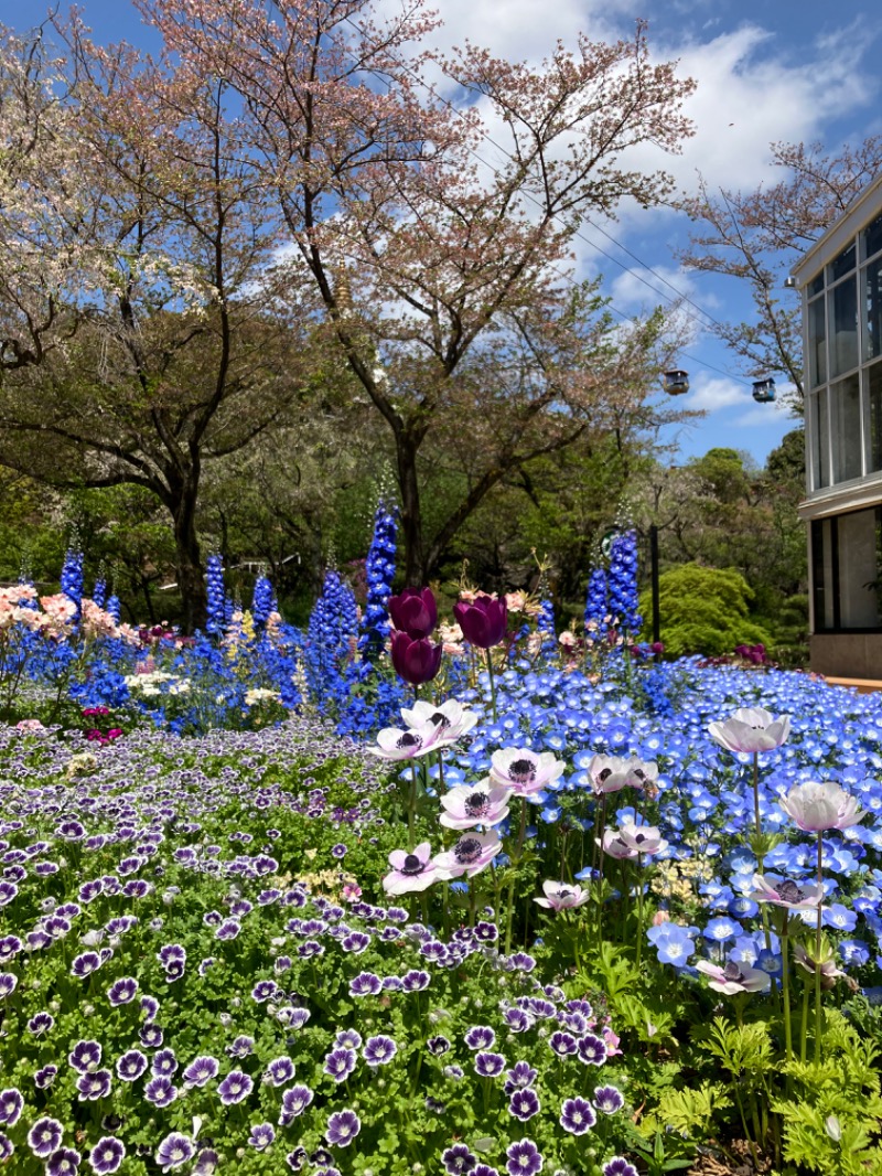 etsumiさんのよみうりランド眺望温泉 花景の湯のサ活写真