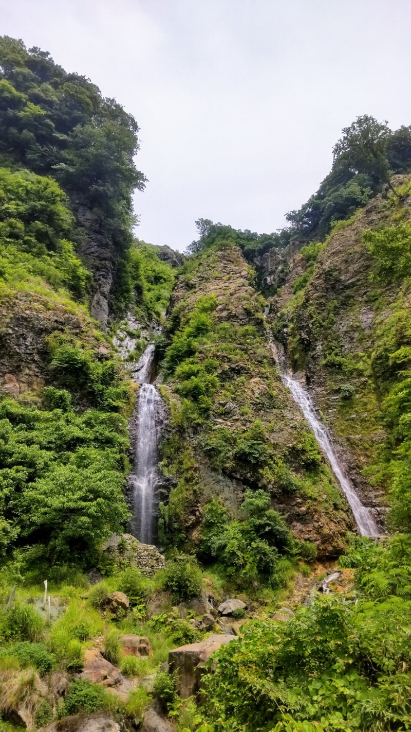 ☆miya☆さんの垂玉温泉 瀧日和のサ活写真