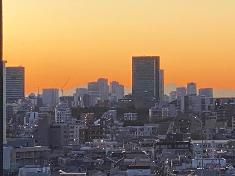 ♨️ふじふじ♨️さんの天空のアジト マルシンスパのサ活写真