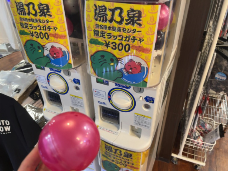 サウニキさんの湯乃泉 東名厚木健康センターのサ活写真