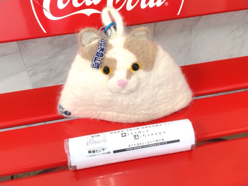 CoCoちんさんの湯の泉 東名厚木健康センターのサ活写真