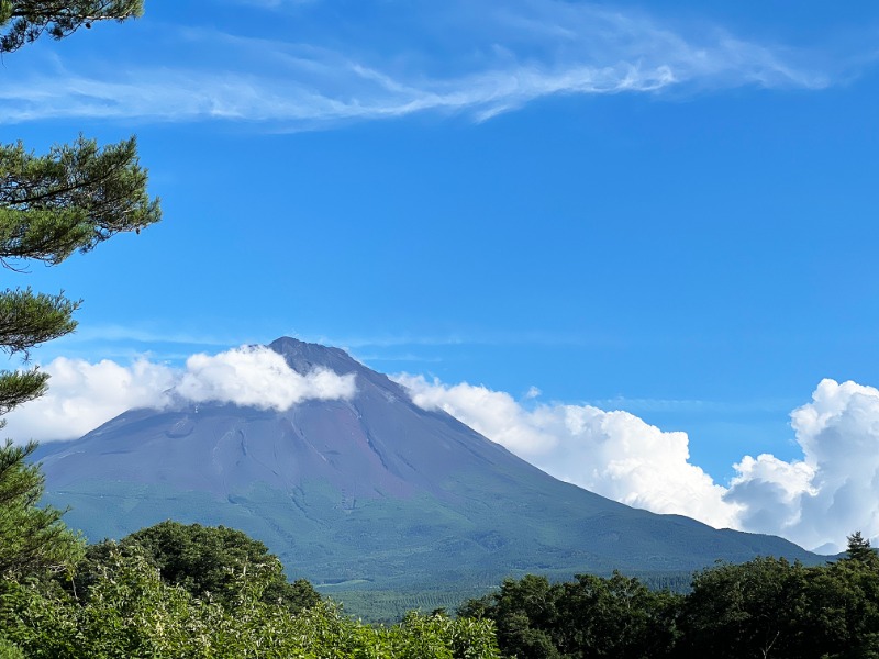 だ。さんの富士眺望の湯 ゆらりのサ活写真
