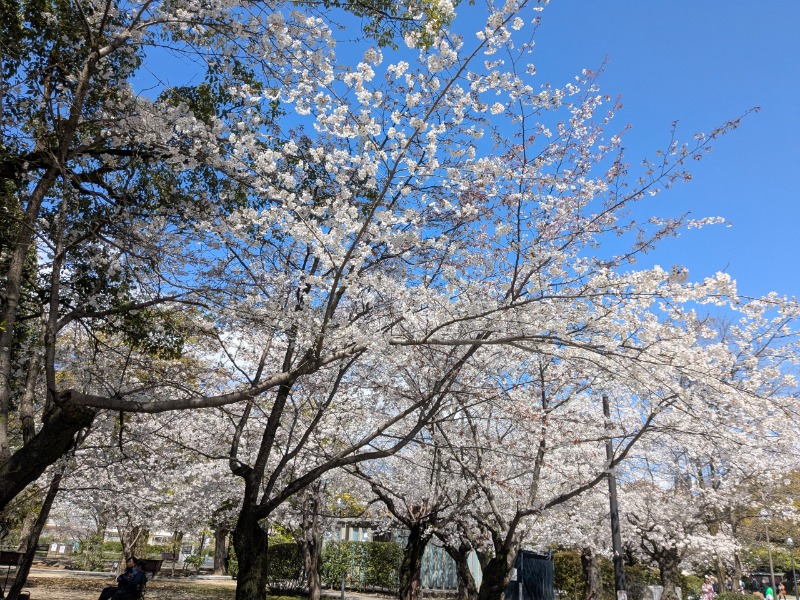 サっさんさんのいなり湯のサ活写真