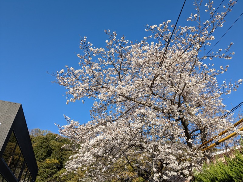 サっさんさんの東道後のそらともりのサ活写真