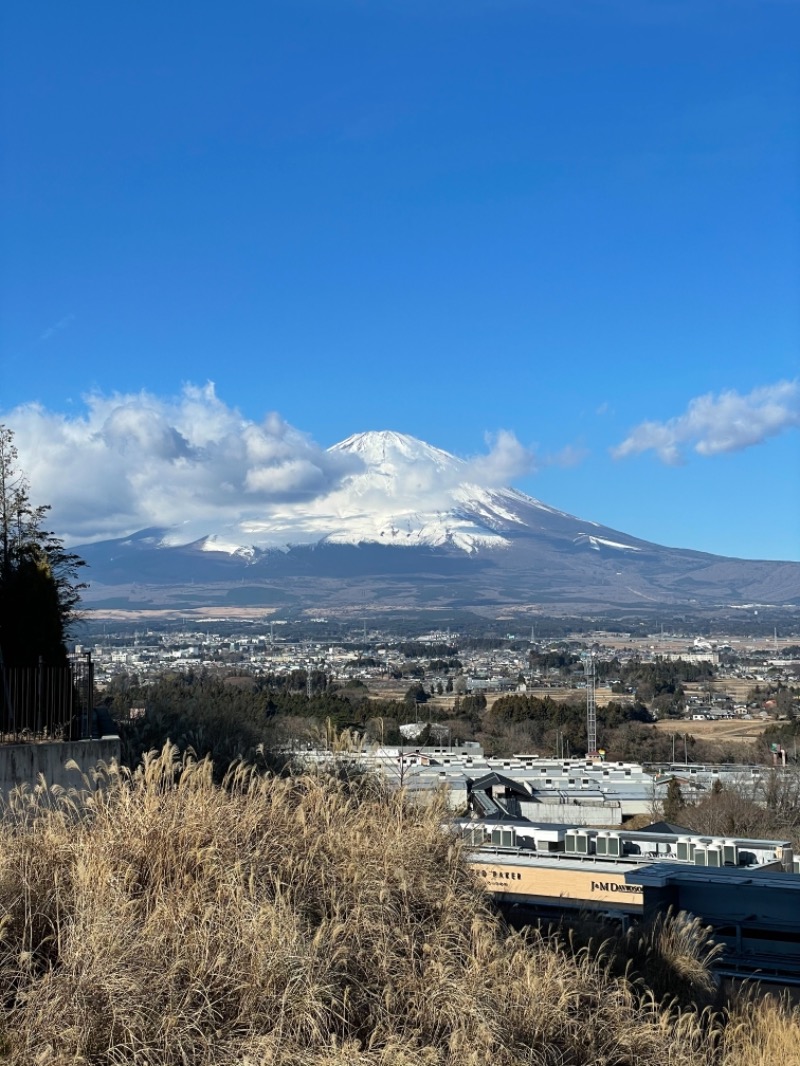 フラットピットさんのHOTEL CLAD 木の花の湯のサ活写真