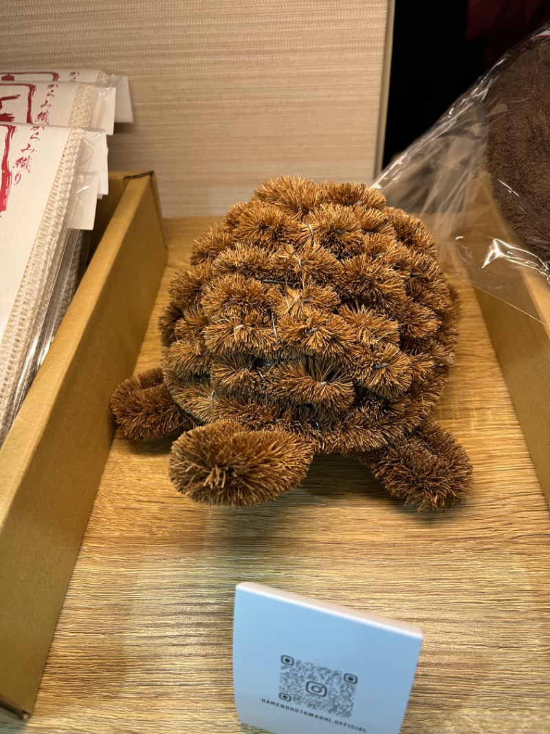 ラッコちゃん🦦さんの湯乃泉 草加健康センターのサ活写真