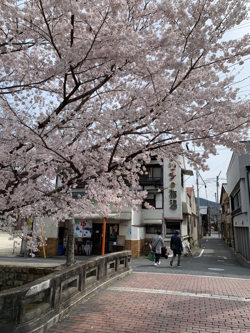 かもすぞさんのサウナの梅湯のサ活写真