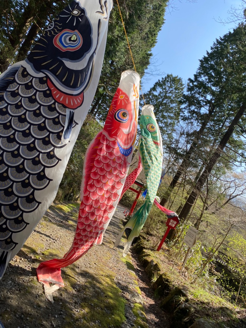 ぽんちゃんさんの御胎内温泉健康センターのサ活写真