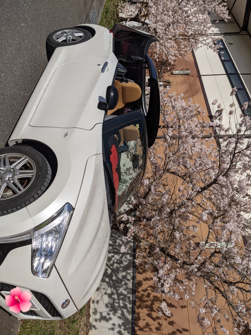 南信州人さんの林檎の湯屋 おぶ～のサ活写真